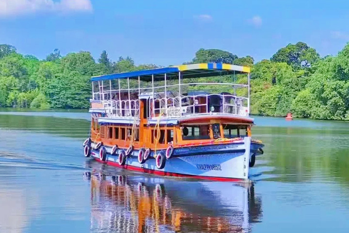 Motorboat Cruise